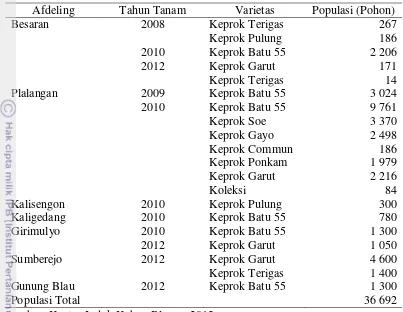 Tabel 1 Varietas dan populasi tanaman jeruk di Kebun Blawan 