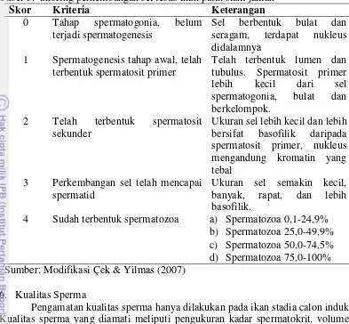 Tabel 3.  Skoring perkembangan sel testis ikan patin siam jantan 