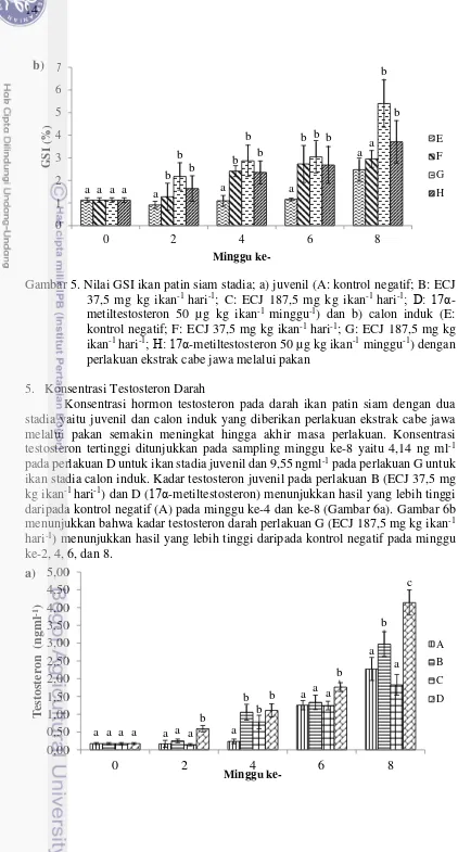 Gambar 5. Nilai GSI ikan patin siam stadia; a) juvenil (A: kontrol negatif; B: ECJ 