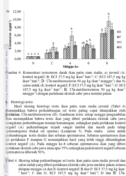 Gambar 6. Konsentrasi testosteron darah ikan patin siam stadia; a) juvenil (A: 