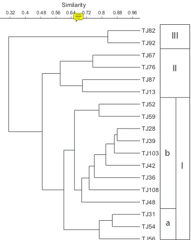 Figure 8.Dendrogram of Q-mode cluster analysis. I, II, and III refer to biofacies. a and b denote sub-biofacies of biofacies I.