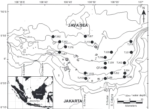Figure 1.Location of Jakarta Bay and sample localities used in this study.