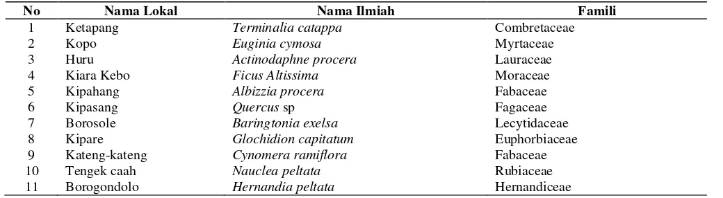 Tabel 4.  Spesies tumbuhan penyokong Tetrastigma sp. 