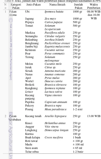 Tabel 6  Jenis, jumlah dan waktu pemberian pakan orangutan kalimantan di PPS 