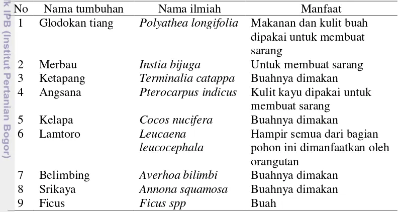 Tabel 7  Jenis tumbuhan yang dimanfaatkan oleh orangutan di kandang enclosure 