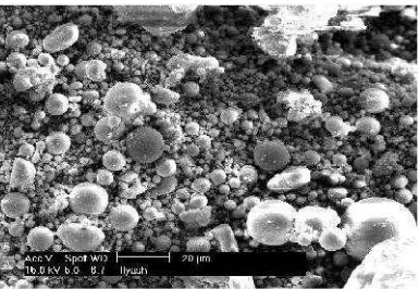 Gambar II.2  Scanning Electron Microscopy (SEM) dari Fly Ash Sumber : Hardjito.D.,et.al