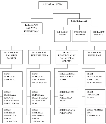 Gambar 2.1 Struktur Organisasi Dinas Pertanian Provinsi Sumatera Utara 
