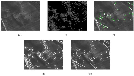 Figure 9. Example of an aerial image obtained with the pushbroom scanner ADS40 byLeica Geosystems.