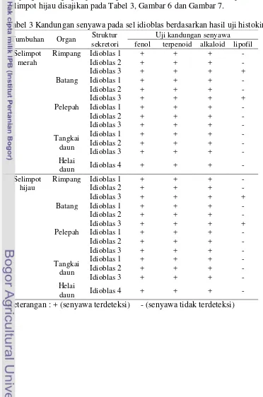 Tabel 3 Kandungan senyawa pada sel idioblas berdasarkan hasil uji histokimia 