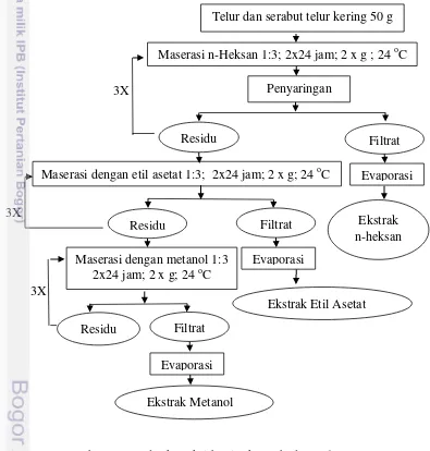 Gambar 2 Metode ekstraksi bertingkat (Ebada et al. 2008) 