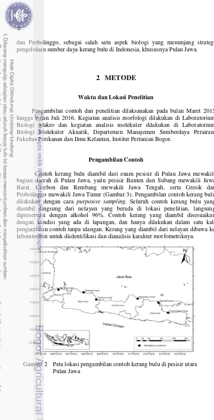 Gambar 2 Peta lokasi pengambilan contoh kerang bulu di pesisir utara 