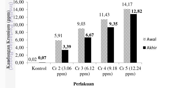 Gambar 7   Kandungan total kromium di media uji pada awal dan akhir   