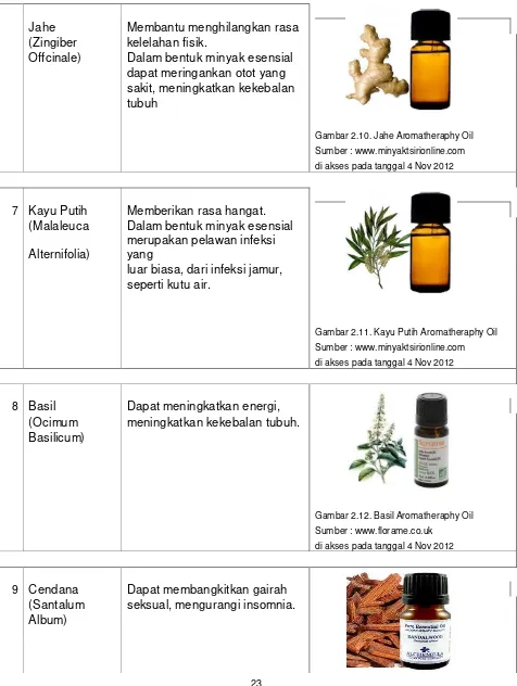 Gambar 2.10. Jahe Aromatheraphy Oil 