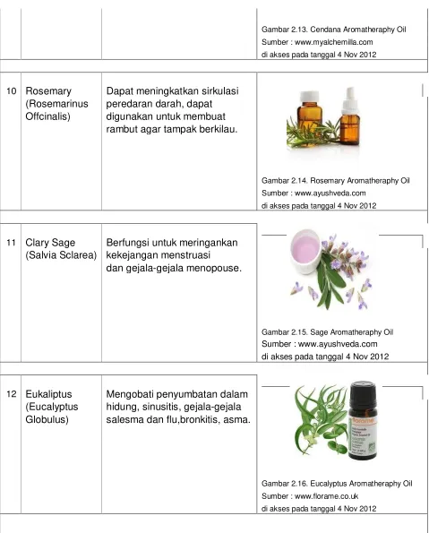 Gambar 2.13. Cendana Aromatheraphy Oil 
