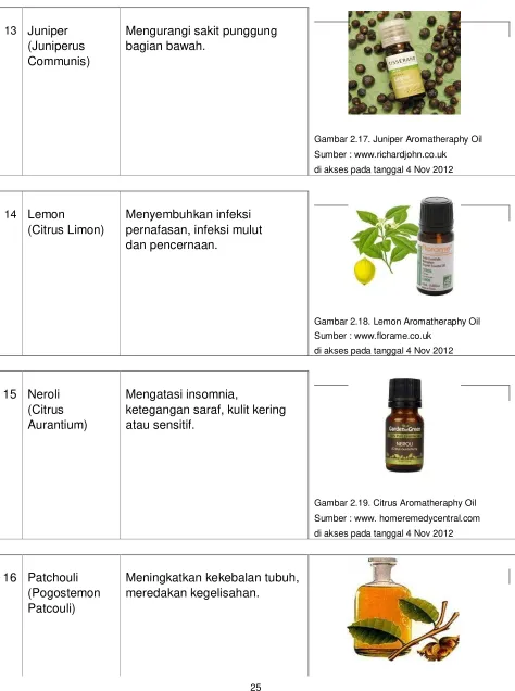 Gambar 2.17. Juniper Aromatheraphy Oil 