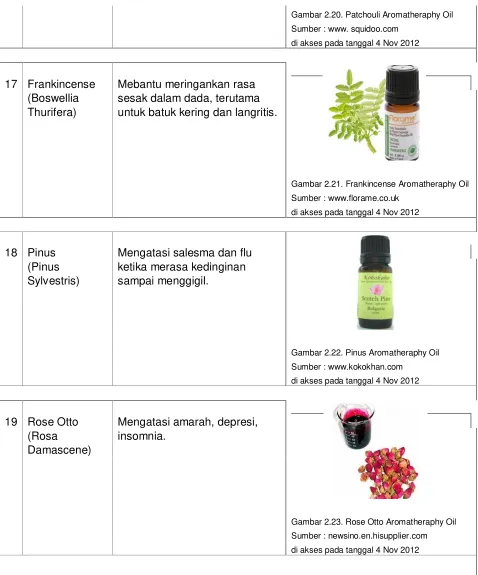 Gambar 2.20. Patchouli Aromatheraphy Oil 