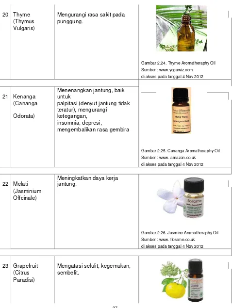 Gambar 2.24. Thyme Aromatheraphy Oil 