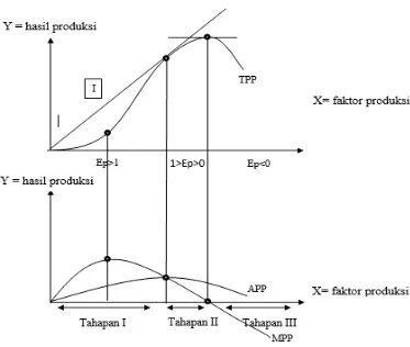 Gambar 2. Grafik hubungan antara kurva-kurva TPP, MPP, dan APP serta   pembagian daerah berdasarkan elastisitas produksi