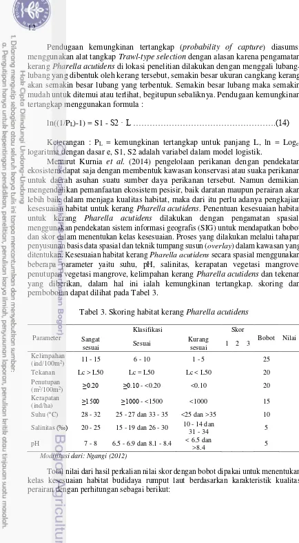 Tabel 3. Skoring habitat kerang Pharella acutidens  