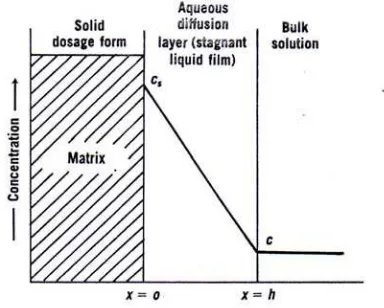 Gambar 2. Disolusi obat dari suatu padatan matriks (Martin, dkk., 1993) 