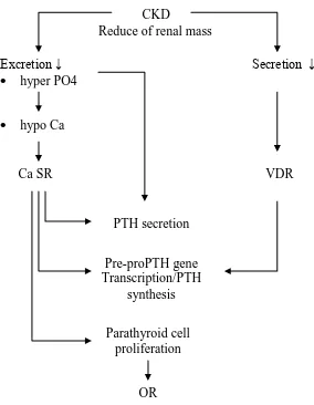 Gambar 2. Patogenesis osteodistrofi renal  