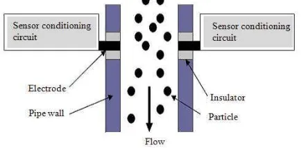 Fig. 1: Pin type electrodynamics sensor installed for 1255 concentration measurement 