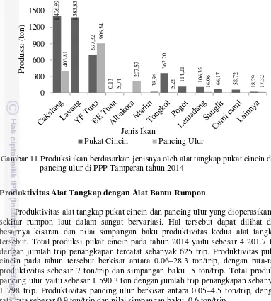 Gambar 11 Produksi ikan berdasarkan jenisnya oleh alat tangkap pukat cincin dan  