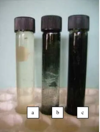 Tabel 5.  Nilai pH dan kandungan SO42-  contoh air asam tambang di Muara Enim, Sumatera Selatan 