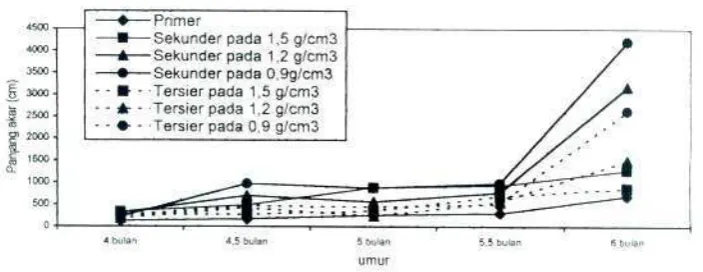 Gambar 3.  Perkembangan diameter akar primer, sekunder dan tersier pada tanaman sengon 
