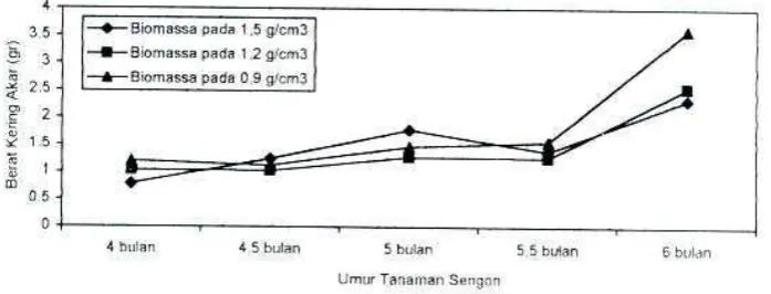 Gambar 5.  Perkembangan luas permukaan akar primer, sekunder dan tersier pada  tanaman sengon berdasarkan tipe akar 