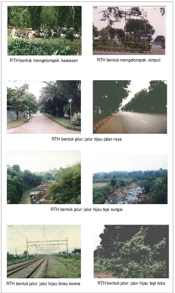 Gambar 12.   Contoh enam bentuk utama RTH kota Bogor 