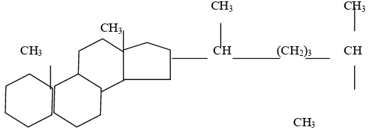 Gambar 1. Struktur Kolesterol (Lehninger,1998) 