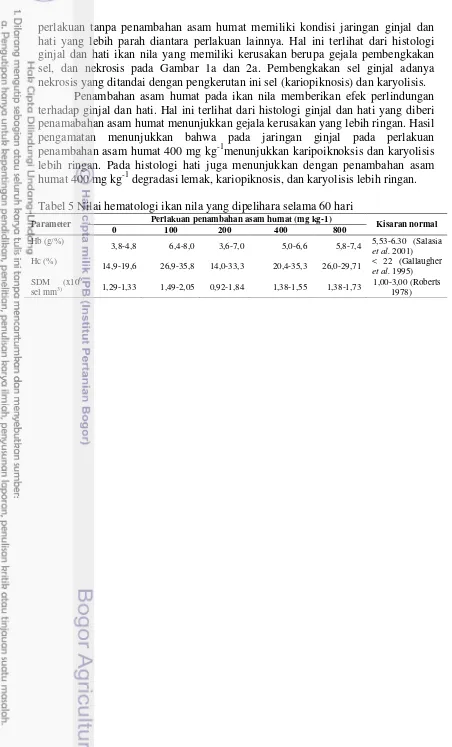 Tabel 5 Nilai hematologi ikan nila yang dipelihara selama 60 hari 
