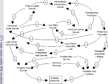 Gambar 4.4. Diagram lingkar sebab akibat sub model konsumsi beras