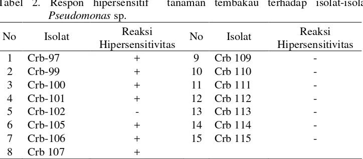 Tabel 2. Respon hipersensitif  tanaman tembakau terhadap isolat-isolat 