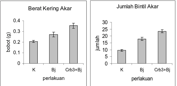 Tabel 3. Pengaruh Pseudomonas sp. Crb3 terhadap berat kering akar dan jumlah bintil akar tanaman kedelai