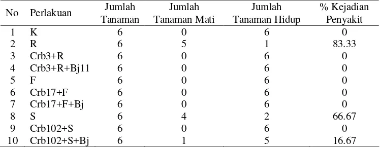 Tabel 6. Pengaruh Pseudomonas sp. dan  B. japonicum terhadap kejadian penyakit  busuk akar pada tanaman kedelai