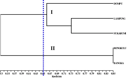 Gambar 8  Dendrogram berdasarkan karakter bunga dan 91 lokus hasil AFLP pada lima aksesi jarak pagar yang dianalisis dengan SAHN-UPGMA pada program NTSYS-pc versi 2.02