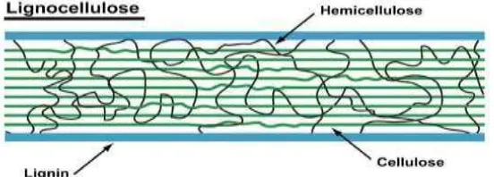 Gambar 1 Struktur lignoselulosa 