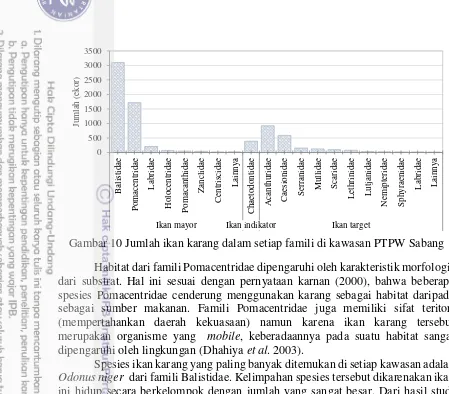 Gambar 10 Jumlah ikan karang dalam setiap famili di kawasan PTPW Sabang 