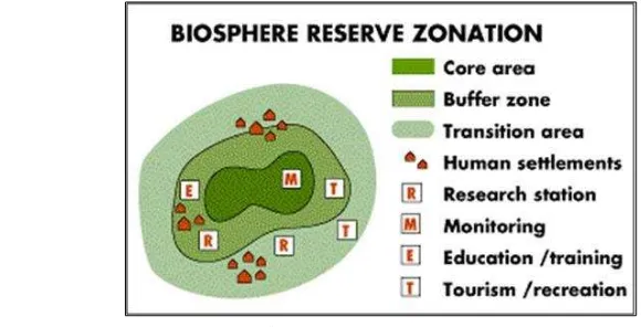 Gambar 16  Ilustrasi Zonasi Cagar Biosfer 