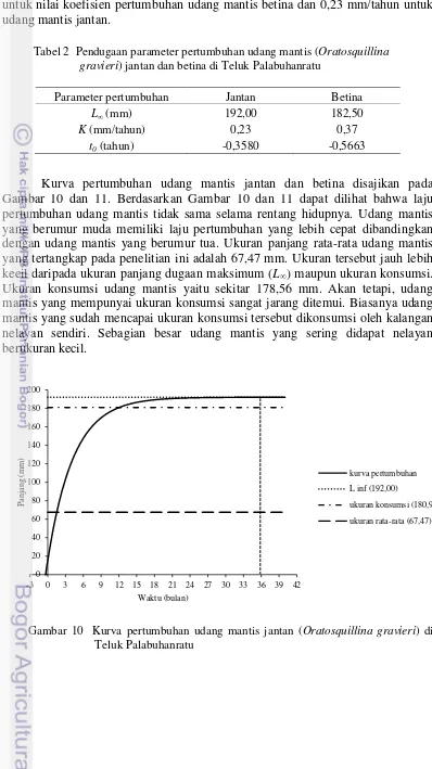 Tabel 2  Pendugaan parameter pertumbuhan udang mantis (Oratosquillina gravieri) jantan dan betina di Teluk Palabuhanratu 