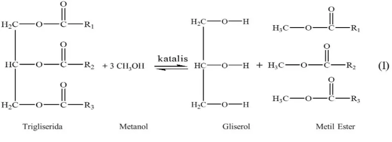 Gambar 2. 3.  Reaksi transesterifikasi metil ester (Freedman,1984) 