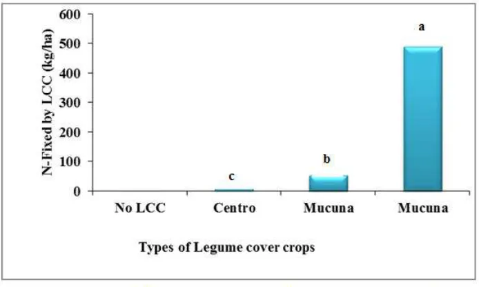 Fig. 3. C-absorbed by Legume cover crops 
