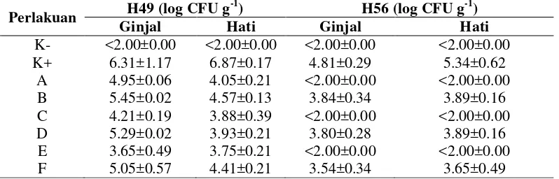 Tabel 3  Total A. hydrophila pada organ target ikan lele pasca uji tantang yang diberi probiotik dengan dosis dan frekuensi berbeda  