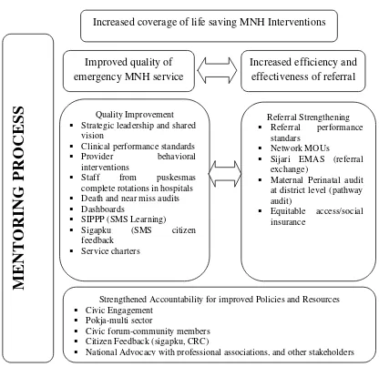 Gambar 2.5. EMAS Program Interventions 