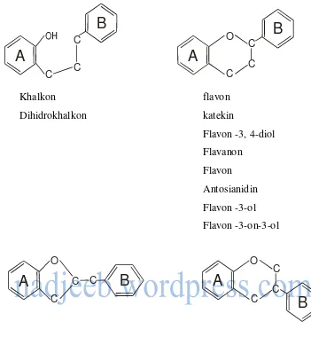 Gambar : Tipe umum dan beberapa contoh senyawa flavanoid 