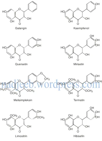 Gambar : Flavanol alam 