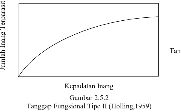 Gambar 2.5.1  Tanggap Fungsional Tipe I (Holling,1959) 