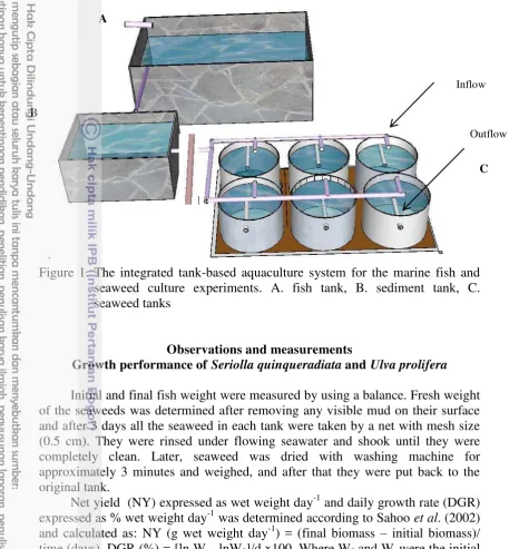 Figure 1. The integrated tank-based aquaculture system for the marine fish and 